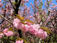 -苏州河梦清园环保主题公园