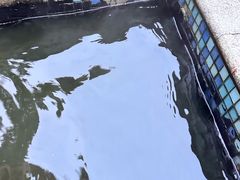 -中铁花水湾温泉酒店(大邑店)