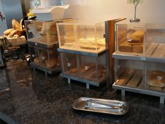 -虹桥机场国航贵宾室v8