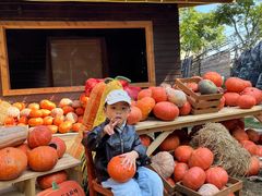 -HERRE·FARM 赫尔露营农场·团建聚会包场