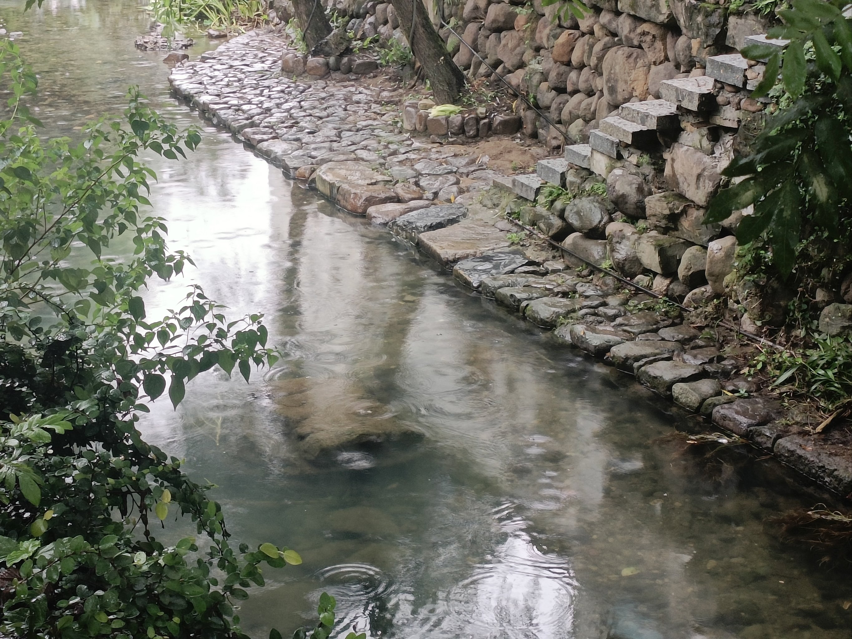 溪水人家绕图片