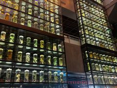 -广东中医药博物馆