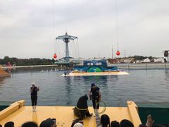 -秦皇岛乐岛海洋王国