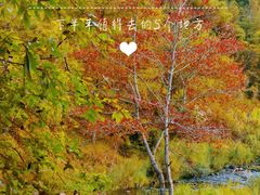 -广州市石门国家森林公园