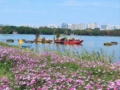 -海珠湖公园