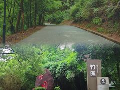 -中山市树木园