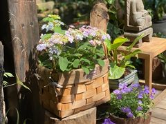 -The Flowers Coffee(南山店)