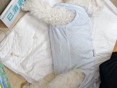 -北京观赏动物医院·24小时大型综合·猫专科·异宠专科