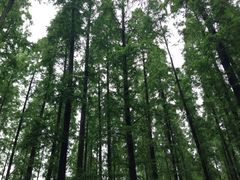 SS-上海怡沁园度假酒店