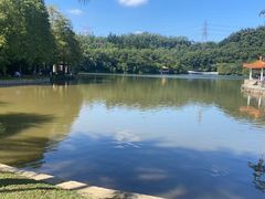-深圳仙湖植物园