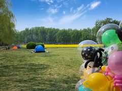 -天津武清北运河郊野公园房车露营地