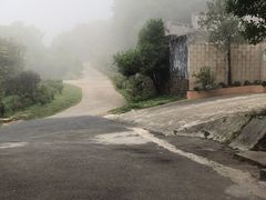 -梧桐山风景名胜区