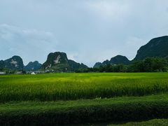 -明仕田园