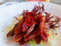 -沪碟·精菜坊(闵行店)