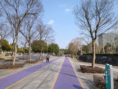 -南翔镇银翔湖公园