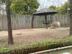 -上海野生动物园