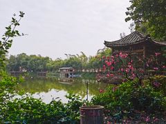 -老木棉·匠园