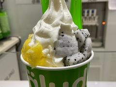 -Salud撒露欧洲冻酸奶(蓝色港湾店)