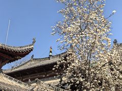 -长春观
