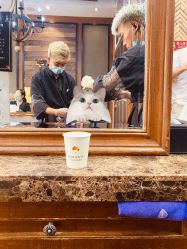 -谦亨·Hair·Salon