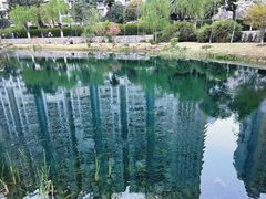 -西北湖绿化广场