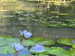 -云溪植物园