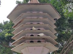 -顺峰山公园