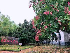 -华东政法大学(松江校区)