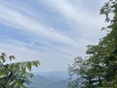 -王顺山国家森林公园