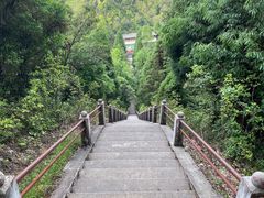 -江西阳明山国家森林公园