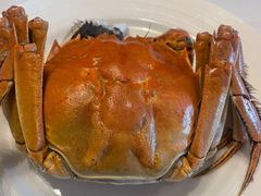 -桂花楼淮扬中餐厅(浦东香格里拉店)