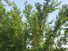 -白鹭湾湿地公园