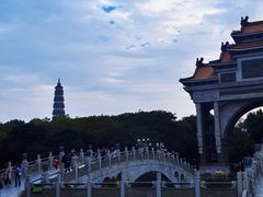-顺峰山公园