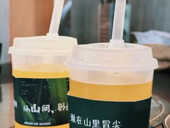 -芸鲜季·云南野生菌餐厅· 云南风物味研社(闵行店)