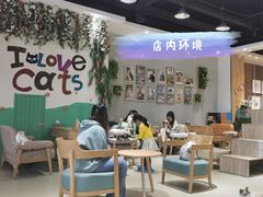 -藏猫猫咖啡主题馆(中央大道店)