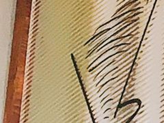 -Again Coffee Roaster(香蜜湖店)