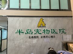-半岛宠物医院24小时(科华中路店)