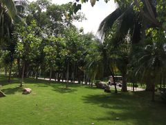 -三亚湾海居铂尔曼度假酒店