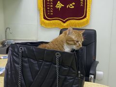 -中农大我爱我爱动物医院(甜水园店)