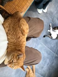 -挪娅婚纱摄影皇家会所