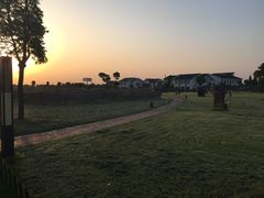 -明珠湖天鹅苑·农家菜馆