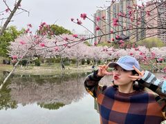 -堤角公园