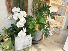 -AHAVA·Fang Baking Studio