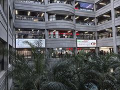 -黑龙江中医药大学附属第一医院