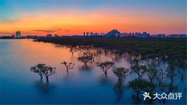 红树林湿地馈赠的景色