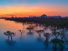 -北海金海湾红树林生态旅游区