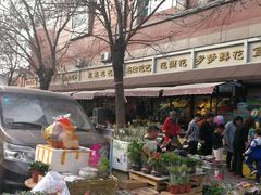 -宝鸡东道花鸟鱼虫市场(吉利花园商场店)