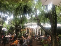 -Fern Forest Cafe