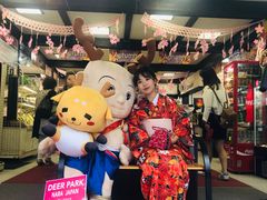 -枫雅和服体验(奈良店)