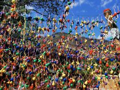 -西双版纳原始森林公园